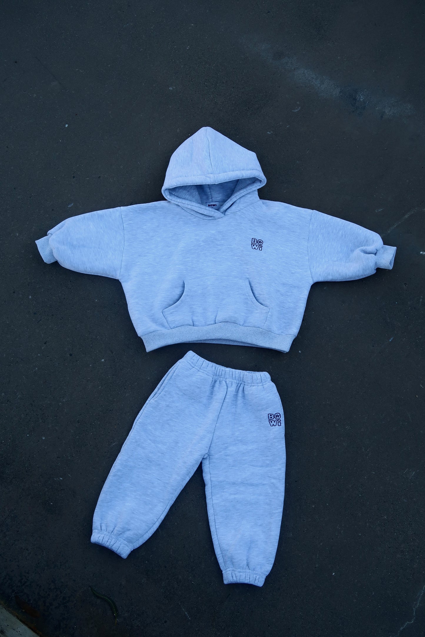 Grey Bowi Hoodie