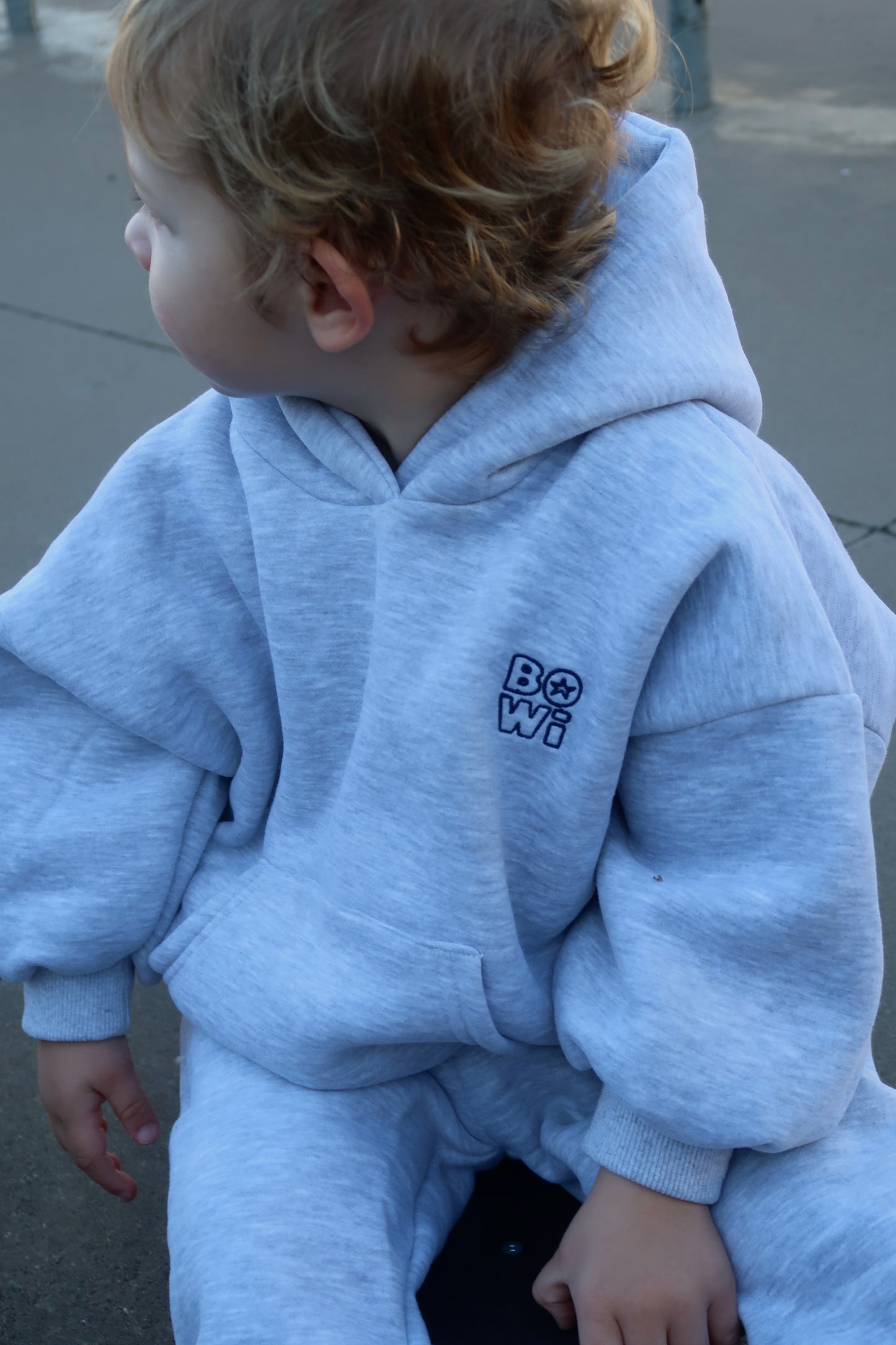Grey Bowi Hoodie